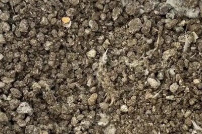 鸡屎能当肥料吗,营养成分丰富可以当肥料