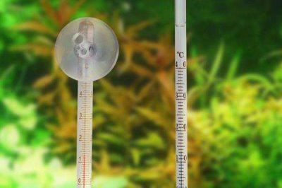 养鱼如何按先后顺序使用老三样，换水、升温后再下盐