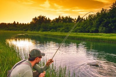 钓鲈鱼的方法,路亚、传统或拉流钓法都适用