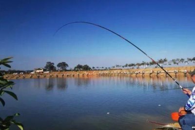 垂钓鲢鳙的适宜深度，通常以超过4-5米为宜