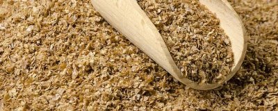 养猪没麸皮用什么代替,可以用玉米代替