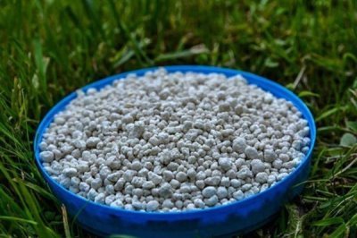 钾肥有效施需留心哪些方面,需留心土壤、作物和施肥技术