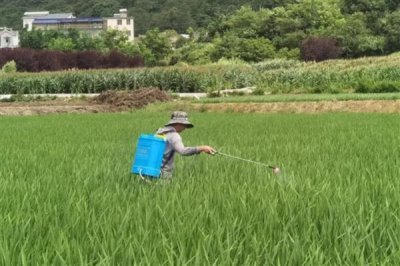 灭草松的防治对象,可灭杀苍耳、问荆、马齿苋等杂草