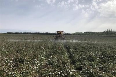 10ml双甲脒要兑多少水，针对不同动物的兑水量不同