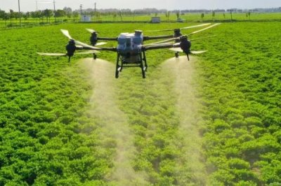 精甲咯菌腈的防治对象,可防治根腐病、恶苗病、霜疫病