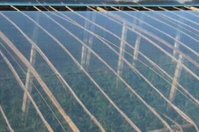 如何购买农膜，首先要看产品合格证