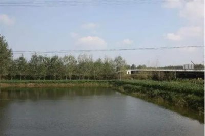 农村鱼塘养鱼技术,位置要选在水源附近