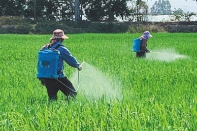 毒死蜱使用方法用量，针对不同作物的使用方法不同