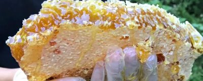 蜂巢蜜太甜是真的吗，甜度与真假无关