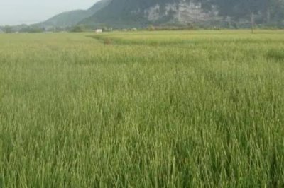 一亩地如何算，1亩等于60平方丈