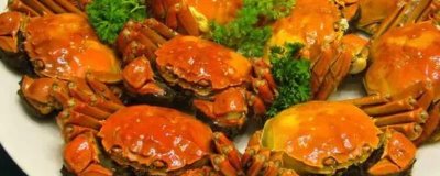家养大闸蟹怎么养，要保证氧气的充足