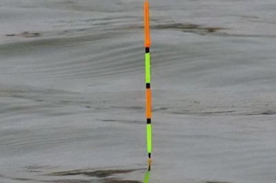 钓鲤鱼第一个顿口要打吗，取决于鱼情和水情