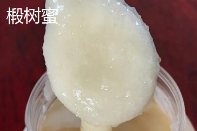 椴树蜜和土蜂蜜哪个好,前者在色泽上略胜一筹