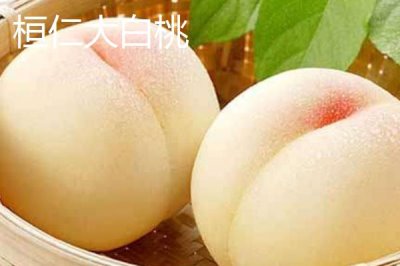 辽宁省桓仁满族自治县的特产，包括桓仁山参、桓仁大米、桓仁冰酒等种类
