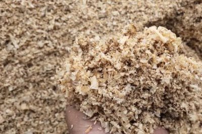 发酵床养鸡技术,鸡棚根据养殖需求来建设