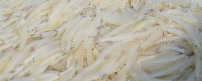 银鱼的产地,太湖、西湖、马湖是三大银鱼盛产湖