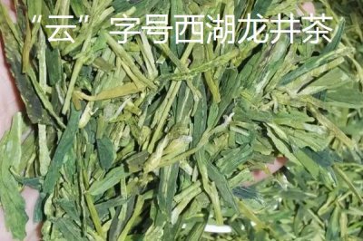 龙井茶的产地，西湖龙井可分为五大核心产区