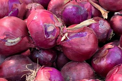 洋葱几月份上市,各地上市时间不同