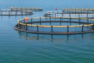 水产养殖公司注册需要办理什么手续,需要办理水产养殖许可证