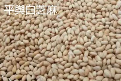 河南省驻马店市的特产，包括平舆白芝麻、正阳三黄鸡、正阳花生等种类