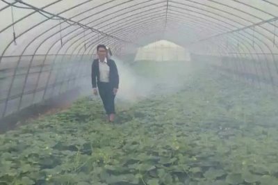 多抗霉素能防治哪些病害，对蔬菜苗期碎倒病、黄瓜霜霉病等有效