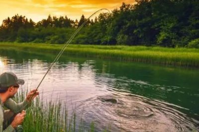 用油糠钓鱼的效果，添加拉丝粉可以让味道更浓烈