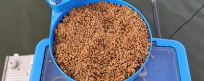 夏钓窝料配方,可使用麦麸、豆粉、红糖、曲酒等材料进行配制