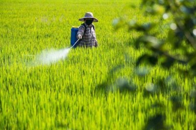 毒死蜱使用方法用量，针对不同作物的使用方法不同