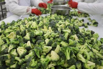 在家加工食品是否违法,没有食品安全许可证便属于违法行为