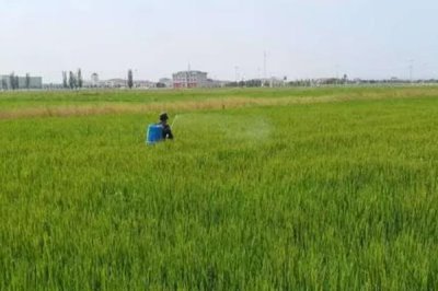 草甘膦除草剂的配制方式,以甘氨酸、亚磷酸二烷基酯为原料制作成本低