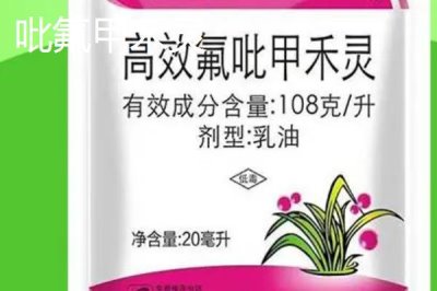 精喹禾灵和吡氟甲禾灵有什么区别，后者防除芦苇以及在低温环境中的效果更好