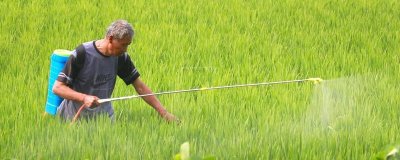 多肽尿素是长效肥吗,属于长效肥