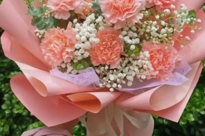 康乃馨能不能做干花,康乃馨是可以做成干花的