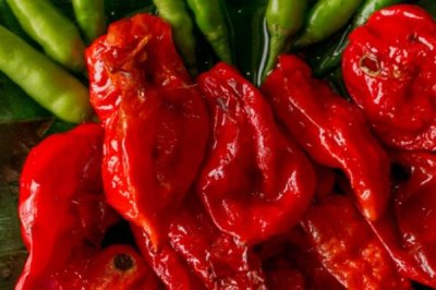 魔鬼辣椒的辣度，辣度超过100万“史高维尔”
