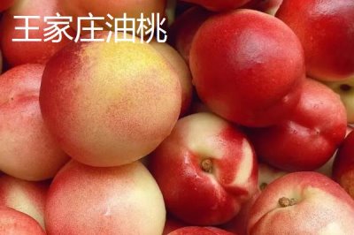 山东莱西的特产,是国务院确定的沿海地区对外开放县市之一