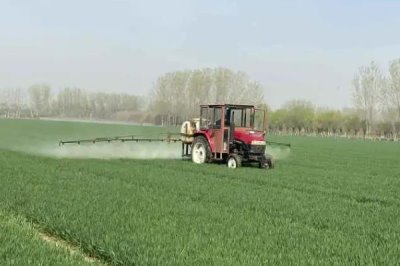 恶霉灵的作用,可提高作物生理活性且促进根的分蘖