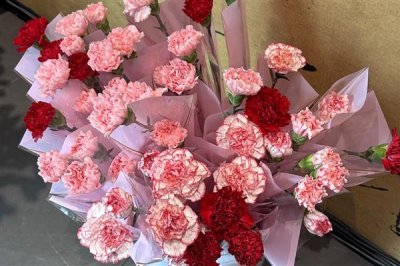 康乃馨的花语，寓意母爱之情、尊敬之情等