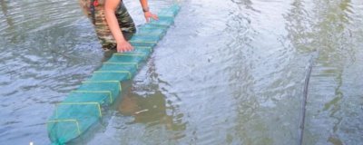 地笼放深水还是浅水合适,通常会放置在浅水区域