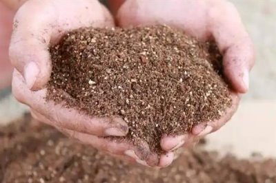 花卉盆栽土如何配制，根据植株的生长情况选择适合的基质