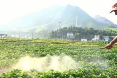 代森锰锌不能与哪些农药混用,不能和铜制剂和碱性药剂混用