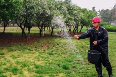 使用氮肥要注意什么，不能和碱性肥料、有机肥一起使用