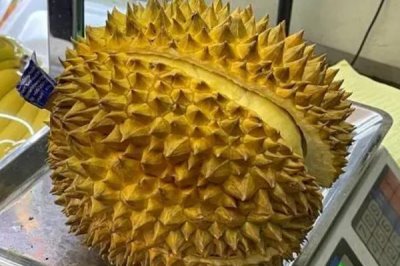 哪个品种的榴莲价格最高最贵,最贵的榴莲是猫山王