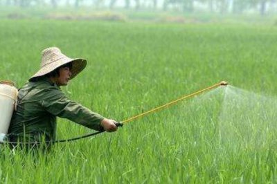 使用杀虫剂有哪些注意事项,根据气候特点和害虫活动规律选择施药时间