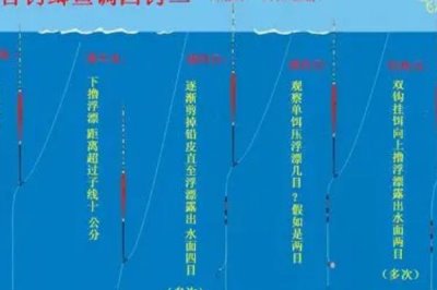 罗非鱼喜欢什么味型的饵料，爱吃腥味型饵料