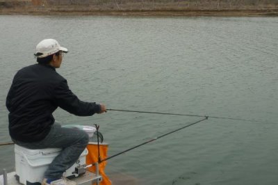 钓鲢鳙的适宜时间,夏季全天均可作钓