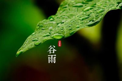 谷雨节气的来源,天上降雨谷物才能生长、因此称为谷雨