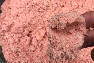 秋天钓草鱼的技巧,垂钓前可用玉米等饵料打窝