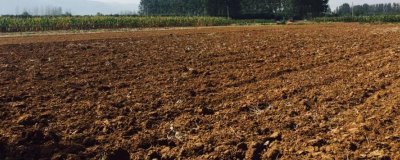 村干部能不能收回死者的承包地进行再分配,承包地可由家庭其它成员继承