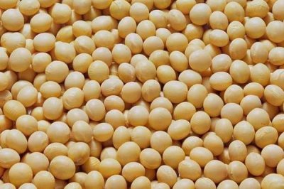 桂夏1702大豆种子特征特性,该品种生育期适中