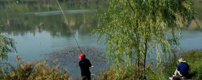 谷麦钓法适合用哪种鱼钩,海夕钩、伊豆钩、千又钩均可使用